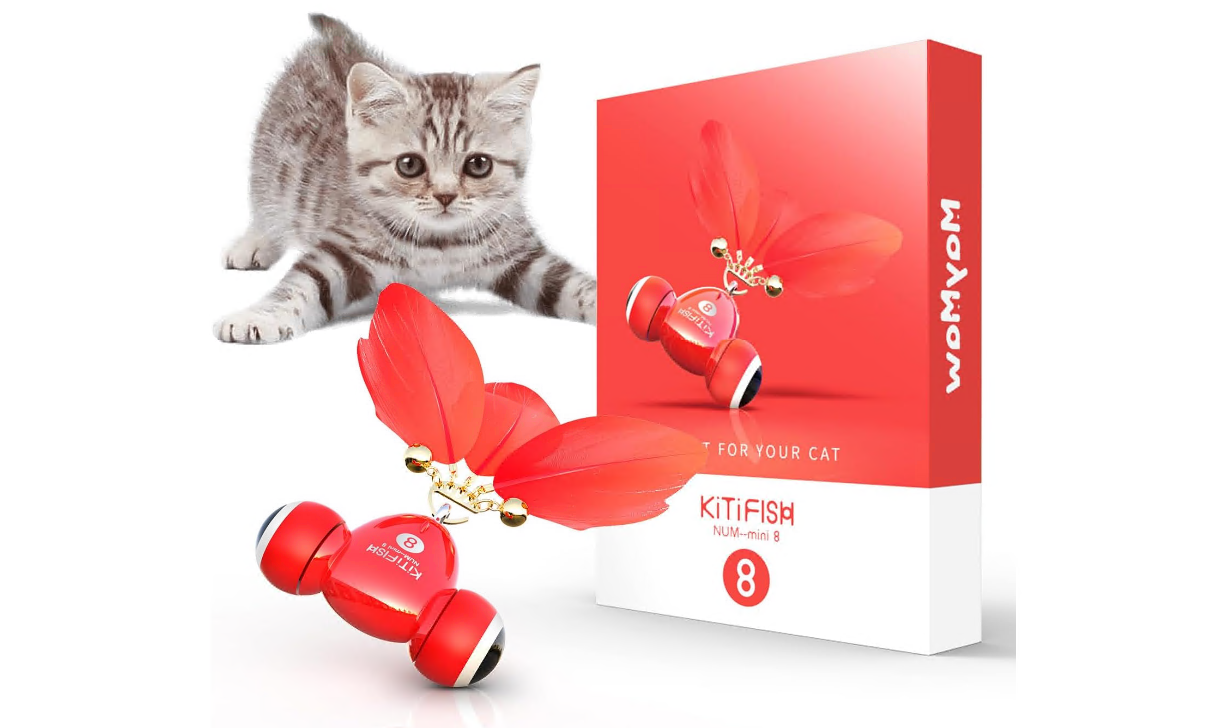Cat Toys